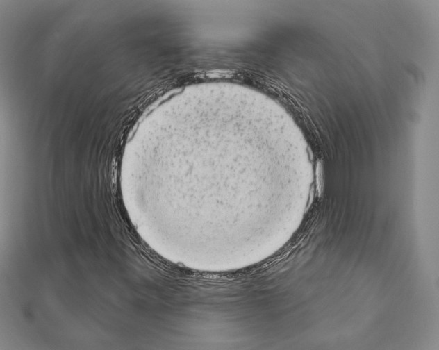 X0000110861443200907301342