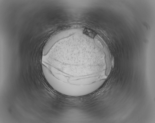 X0000110861444200907301342