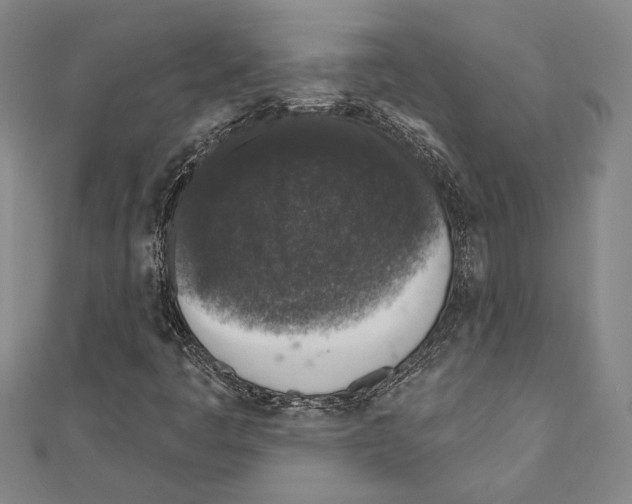 X0000110861445200907301342