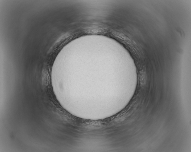 X0000110861446200907301342