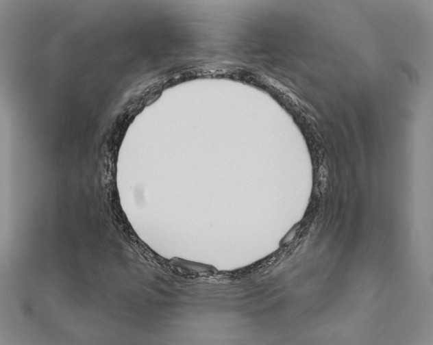 X0000110861447200907301342