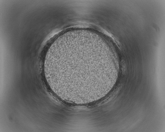 X0000110861448200907301342