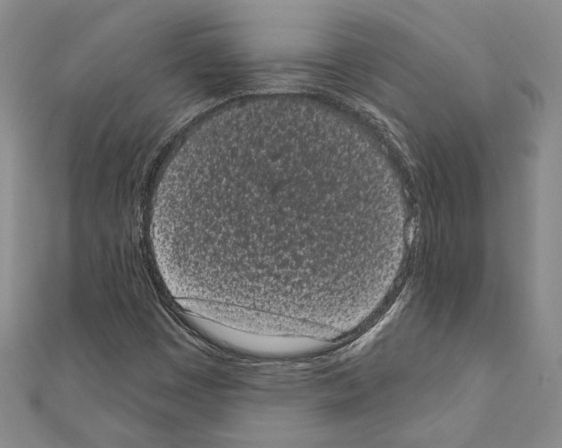 X0000110861449200907301342