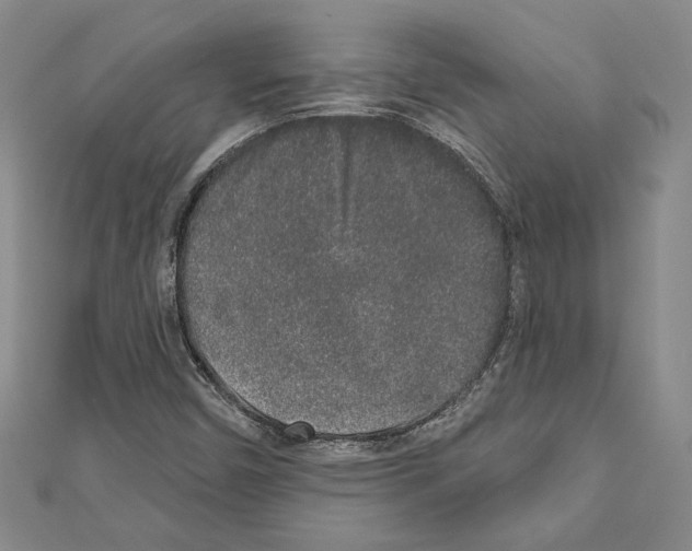 X0000110861450200907301342