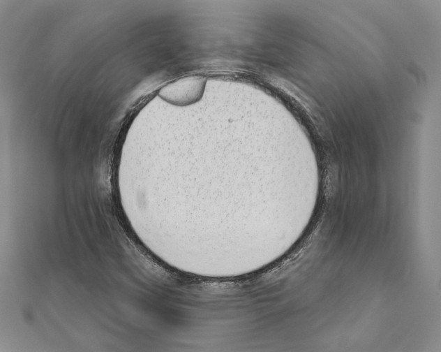 X0000110861451200907301342