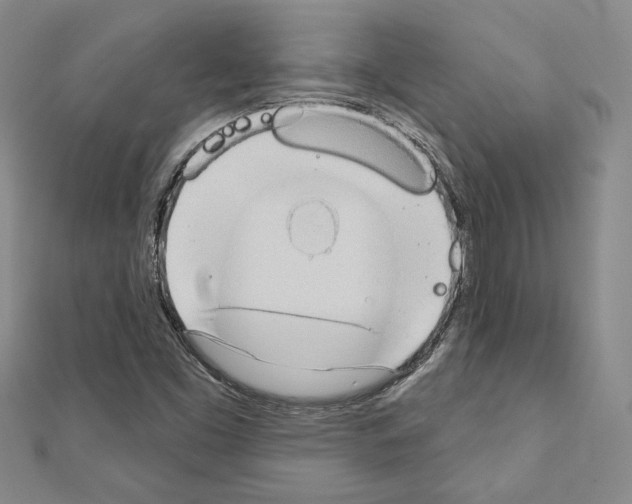 X0000110861453200907301342
