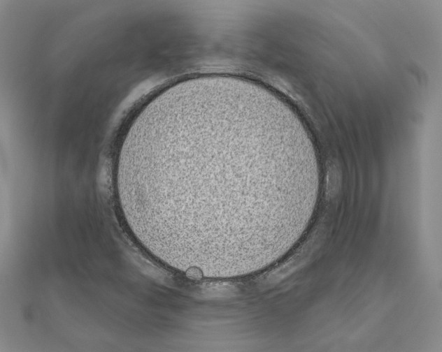 X0000110861454200907301342