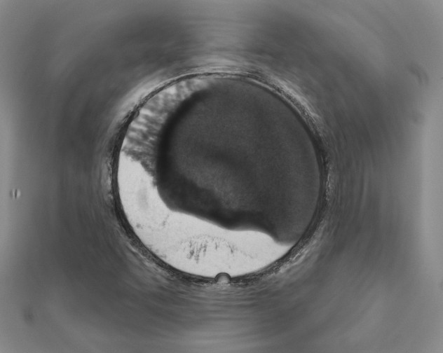 X0000110861455200907301342