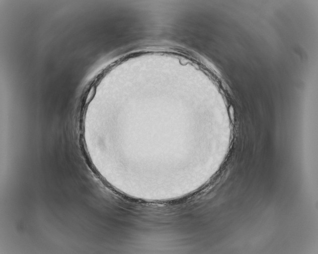 X0000110861456200907301342