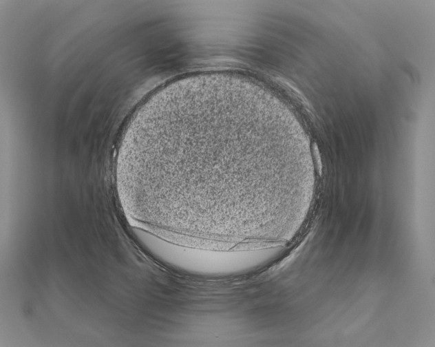 X0000110861457200907301342