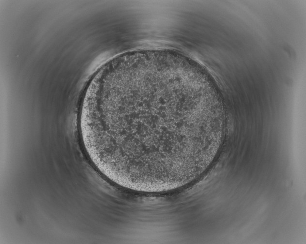 X0000110861459200907301342