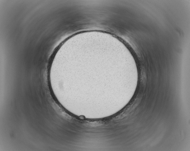 X0000110861460200907301342