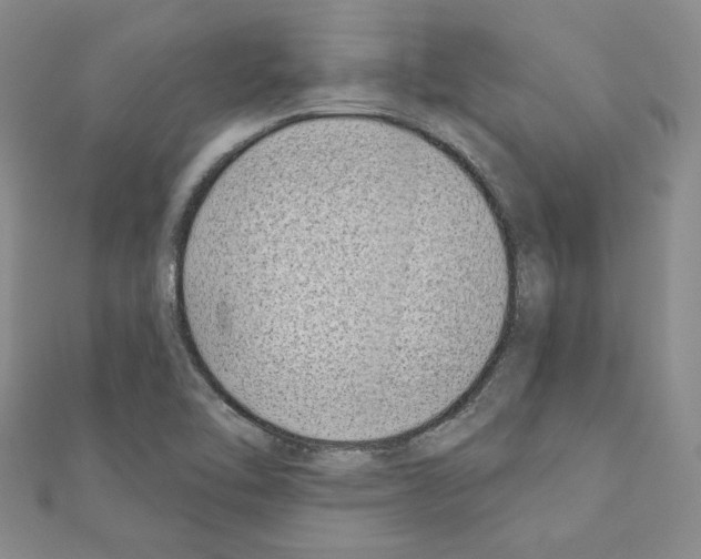 X0000110861462200907301342