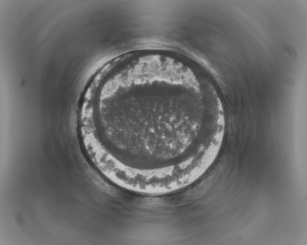 X0000110861463200907301342