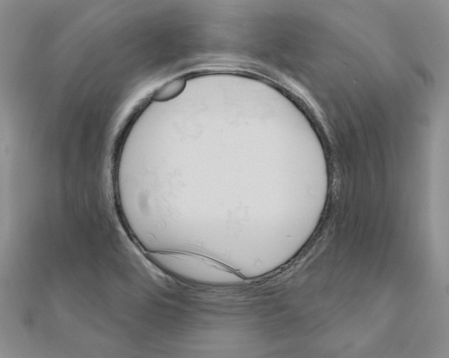 X0000110861464200907301342