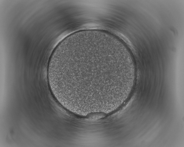 X0000110861465200907301342