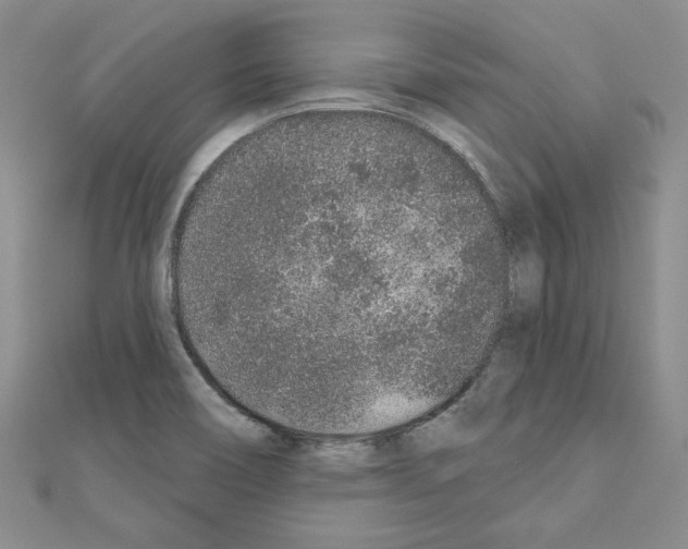 X0000110861466200907301342