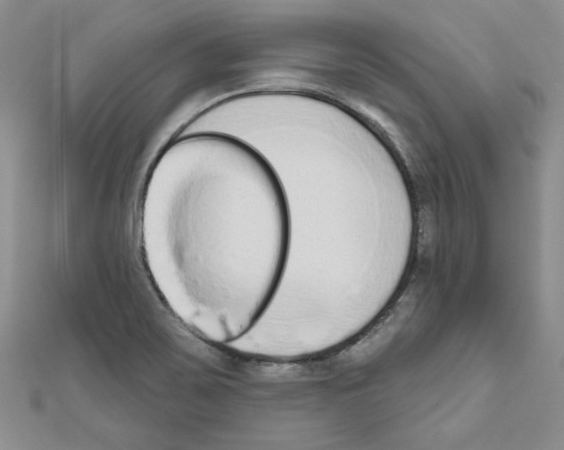 X0000110861467200907301342