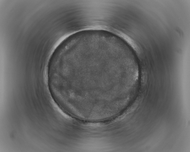 X0000110861468200907301342