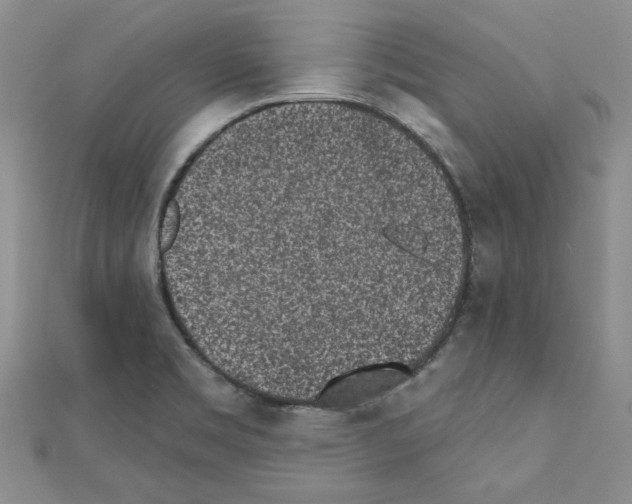 X0000110861469200907301342