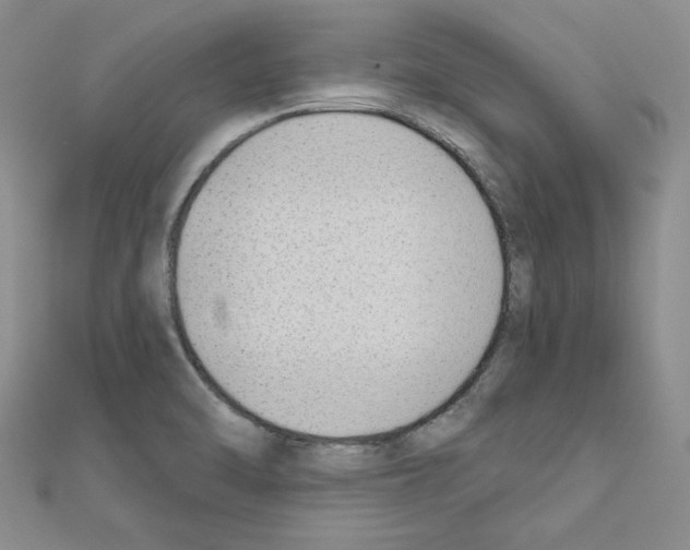 X0000110861470200907301342