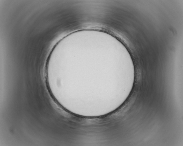 X0000110861471200907301342