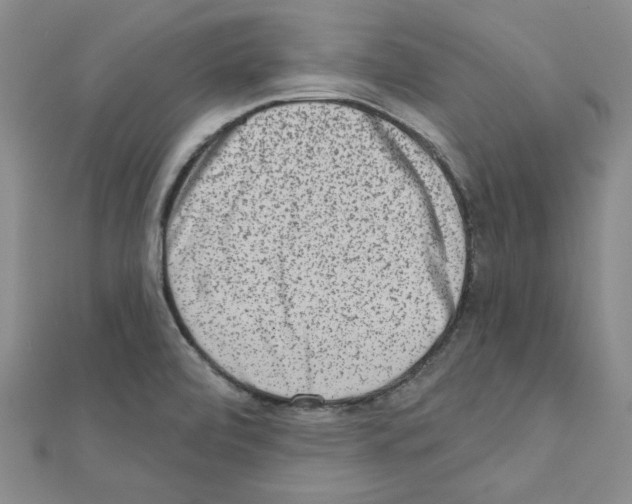 X0000110861472200907301342