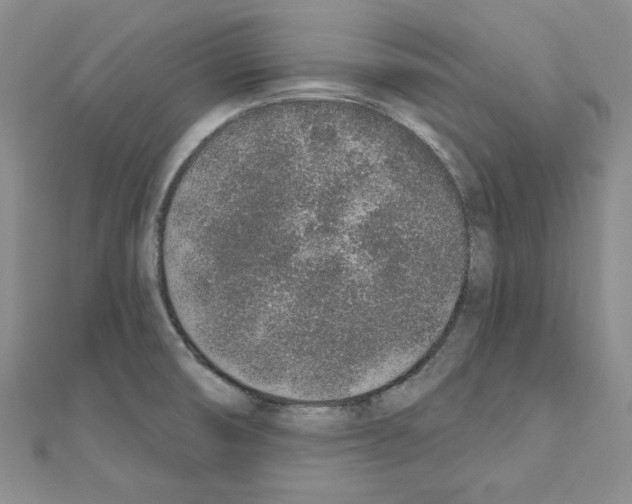 X0000110861474200907301342