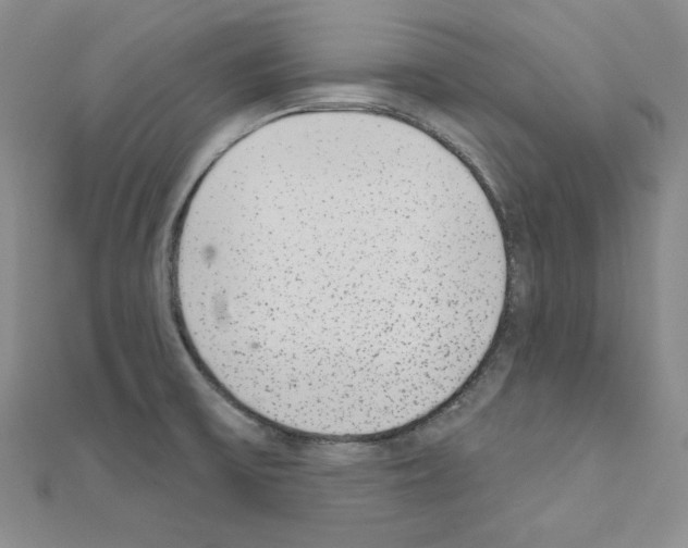 X0000110861475200907301342