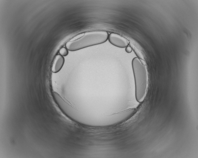 X0000110861477200907301342