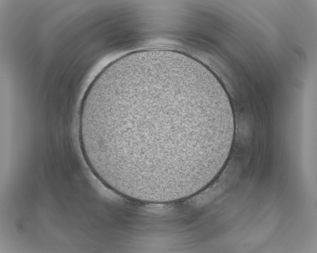 X0000110861478200907301342