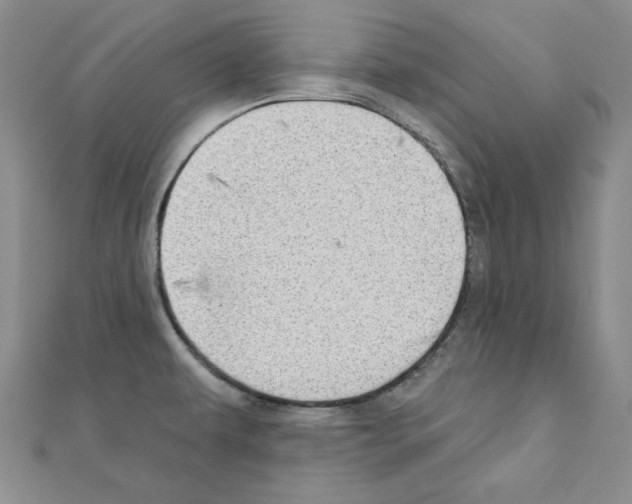 X0000110861479200907301342