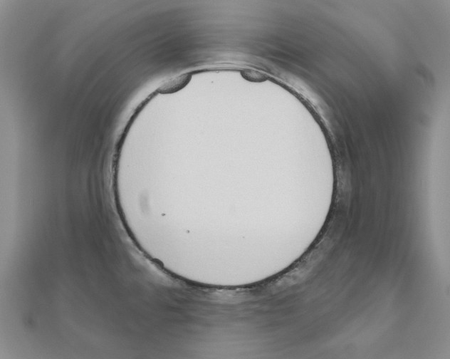 X0000110861480200907301342