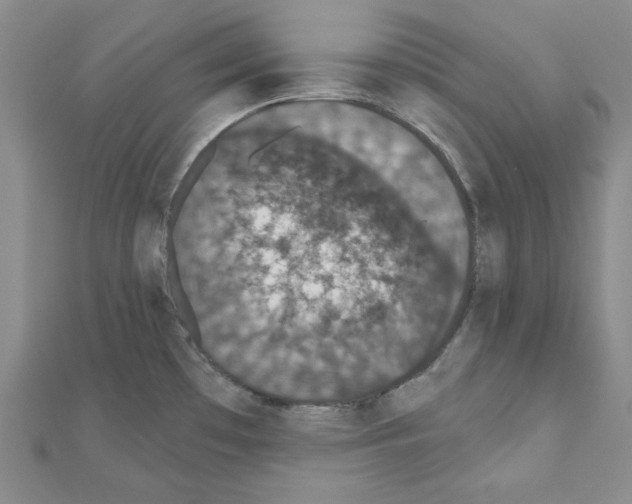 X0000110861481200907301342