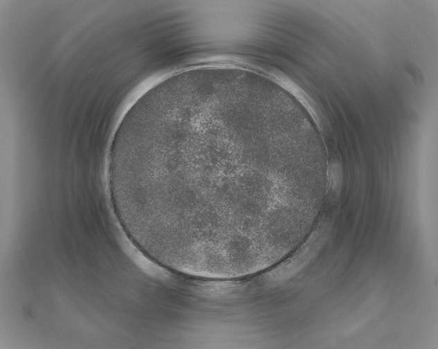 X0000110861482200907301342