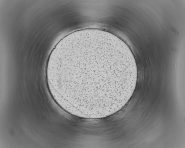 X0000110861483200907301342