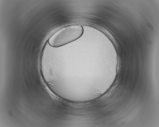 X0000110861485200907301342