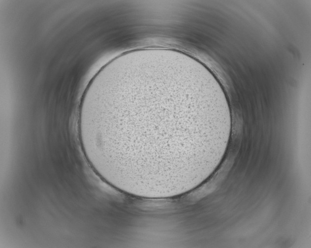 X0000110861486200907301342