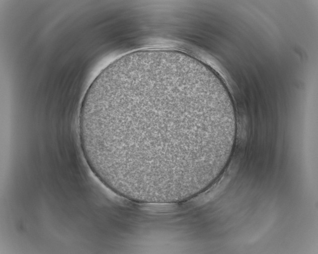 X0000110861487200907301342