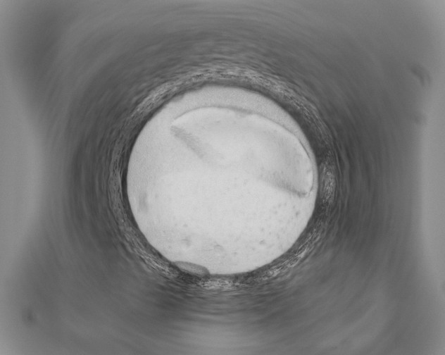 X0000110861489200907301341