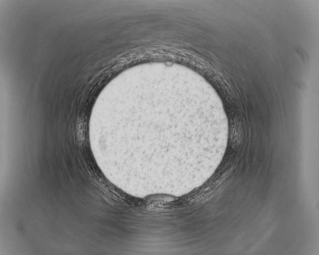 X0000110861490200907301341