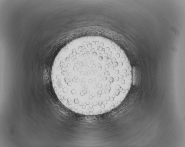X0000110861491200907301341