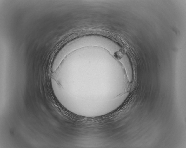 X0000110861492200907301341