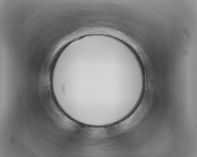 X0000110861498200907301341