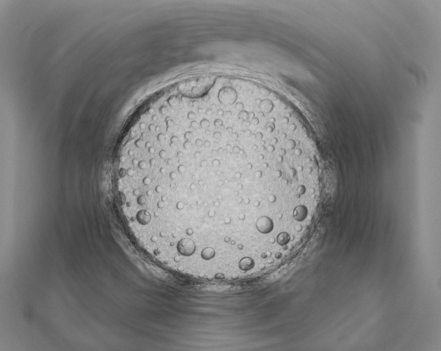X0000110861499200907301341