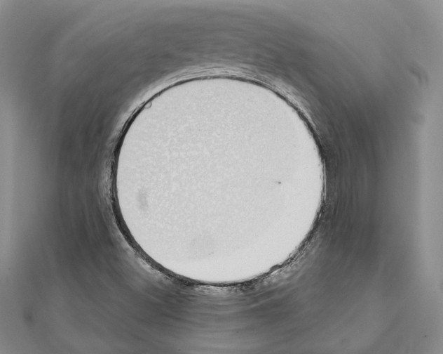 X0000110861500200907301341