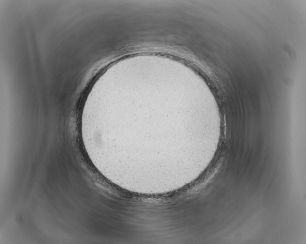 X0000110861501200907301341