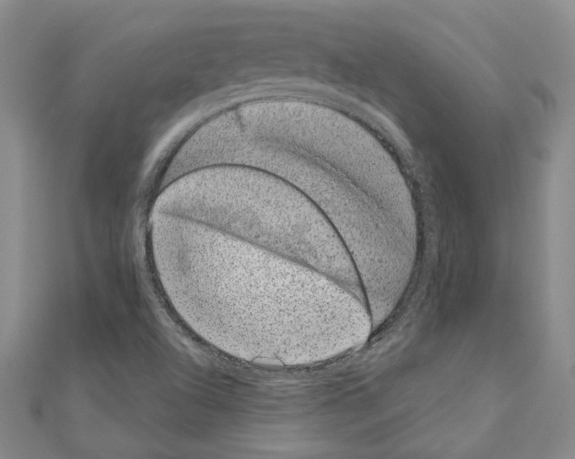 X0000110861504200907301341
