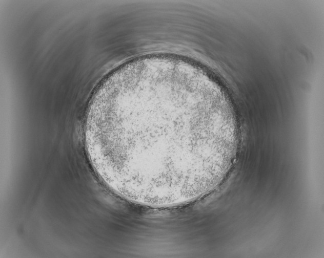 X0000110861505200907301341