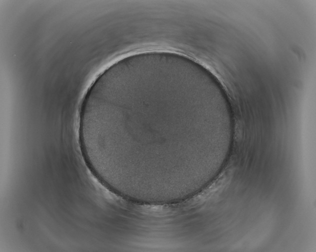 X0000110861508200907301341